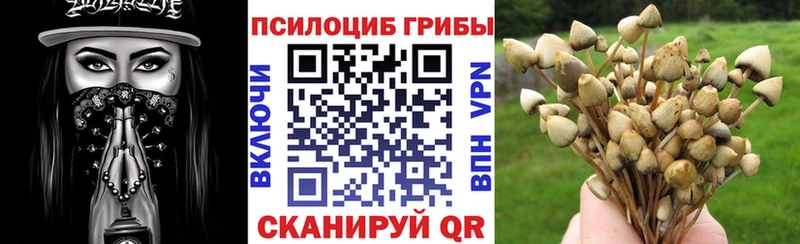 Псилоцибиновые грибы мицелий  Купить  Гулькевичи 